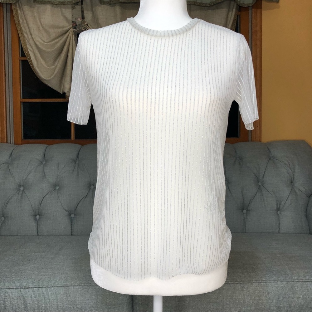 Zara Silver Pinstripe Mesh Top